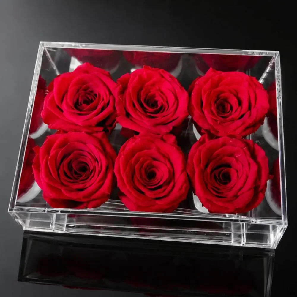 Preserved Red Roses (6) in Acrylic Display Box - New